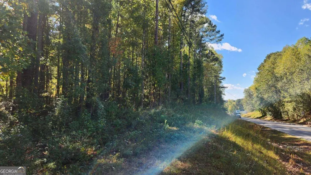 0 Bullsboro DR Newnan, GA 30265