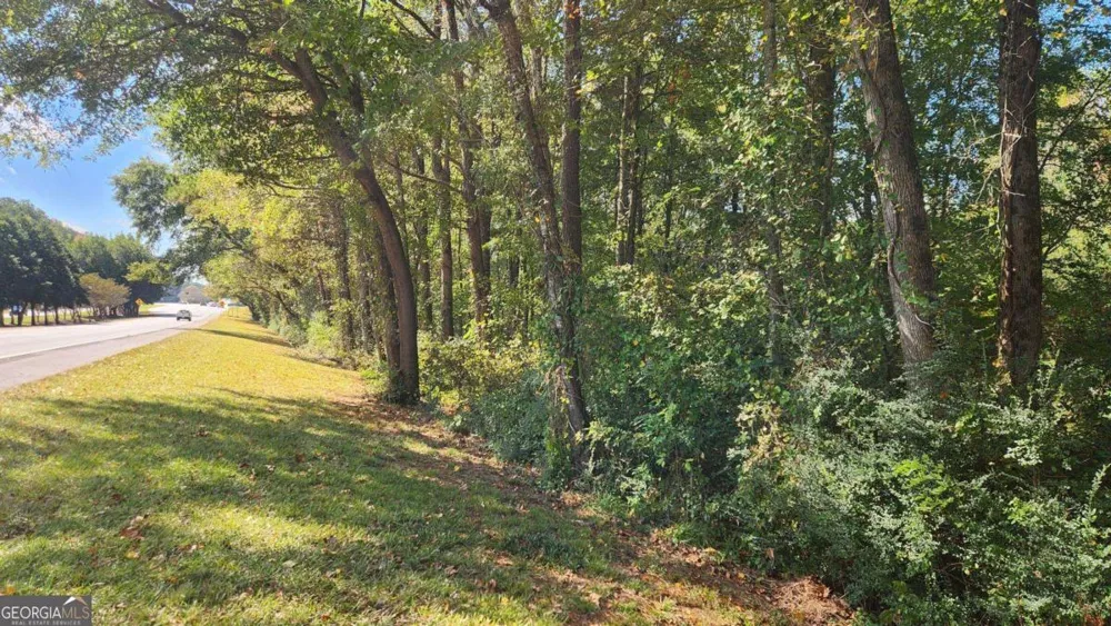 0 Bullsboro DR Newnan, GA 30265
