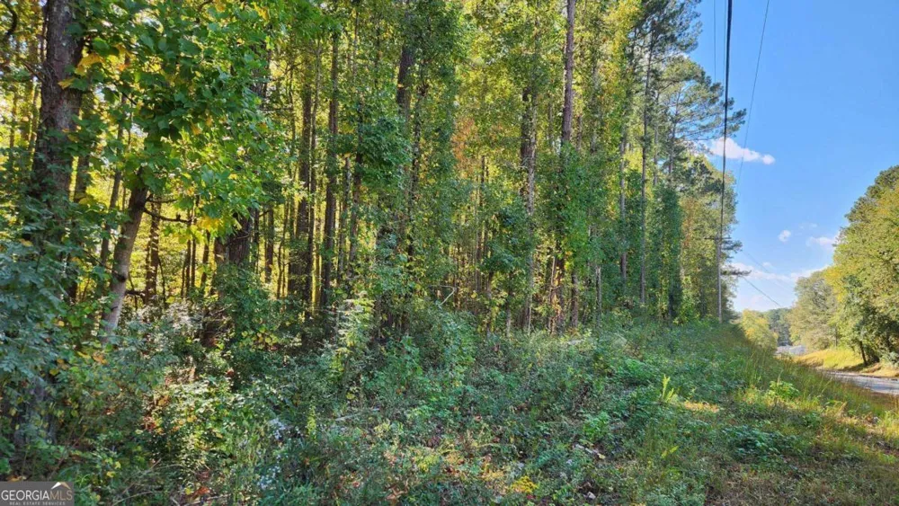 0 Bullsboro DR Newnan, GA 30265