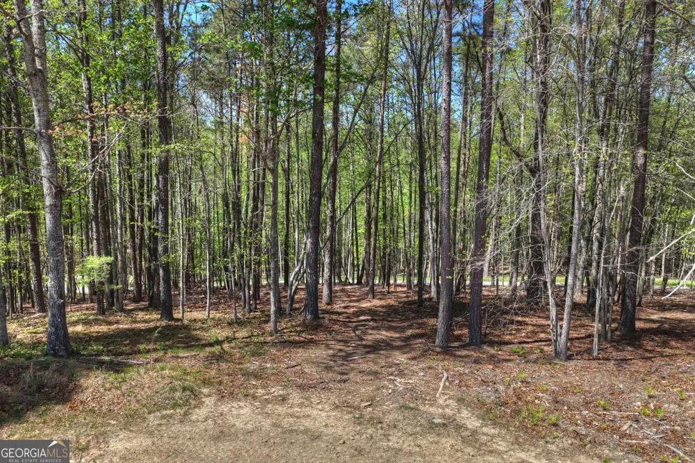 3455 Jones Creek RD Blairsville, GA 30512