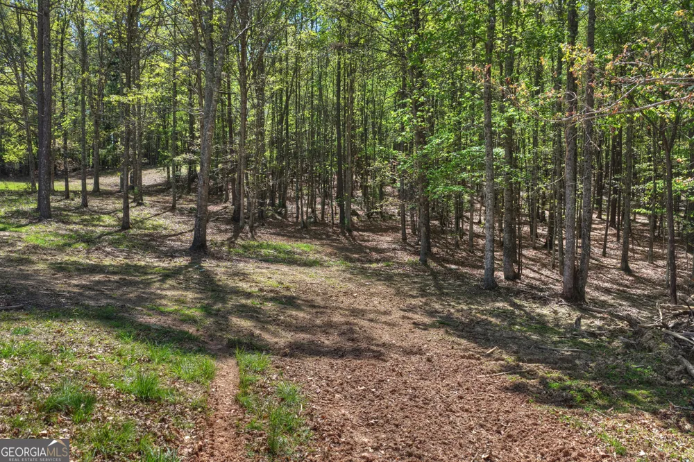 3455 Jones Creek RD Blairsville, GA 30512
