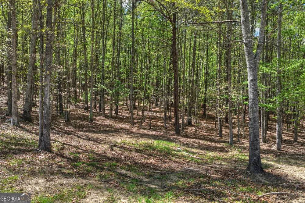 3455 Jones Creek RD Blairsville, GA 30512