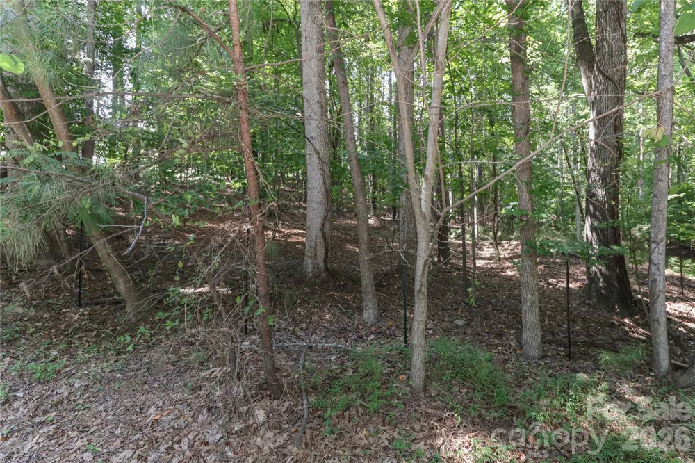 372 Kenway Loop Mooresville, NC 28117