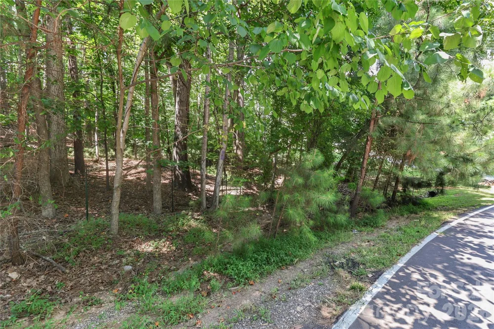 372 Kenway Loop Mooresville, NC 28117