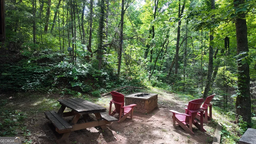 192 Wilderland TRL Helen, GA 30545