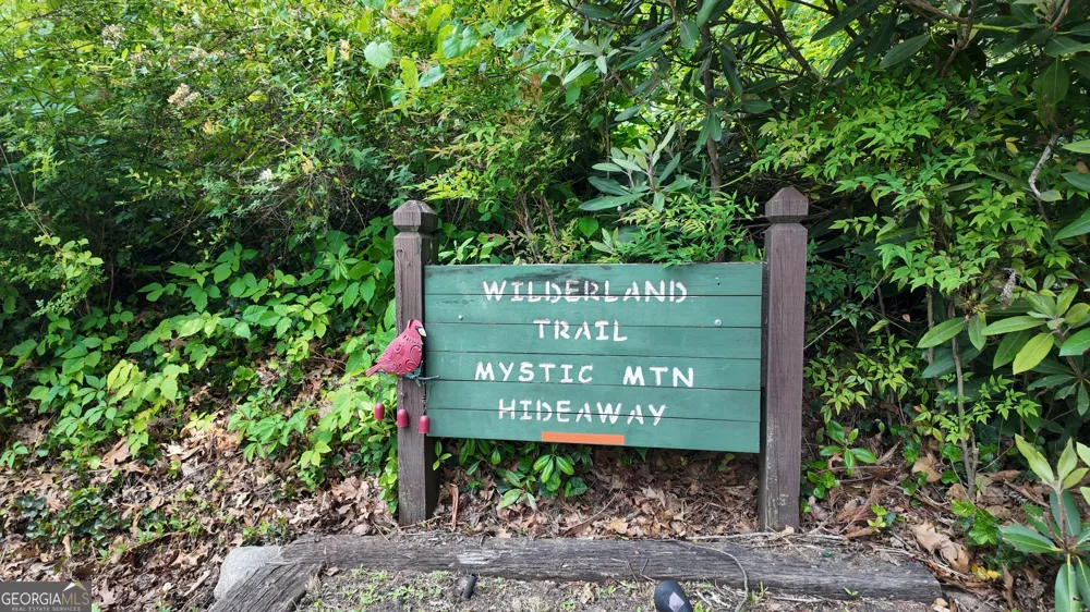 192 Wilderland TRL Helen, GA 30545