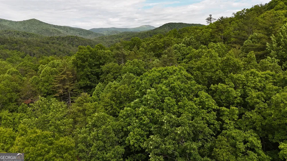 192 Wilderland TRL Helen, GA 30545