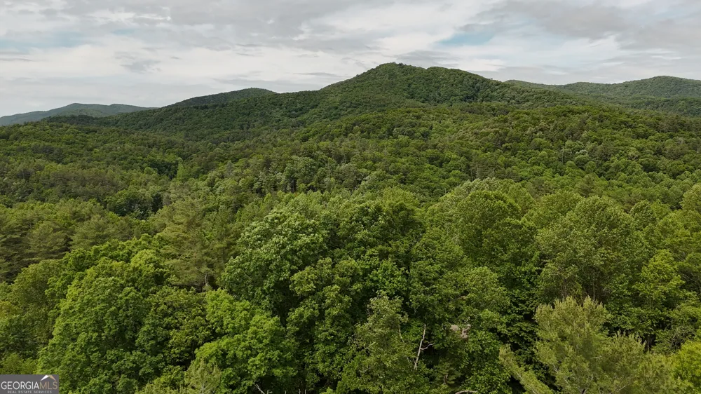 192 Wilderland TRL Helen, GA 30545