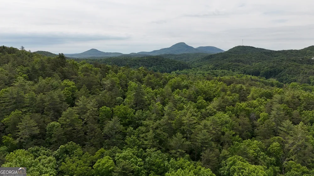 192 Wilderland TRL Helen, GA 30545