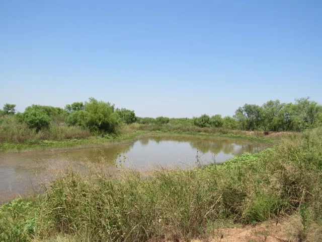 County Road 211 Brookesmith, TX 76827