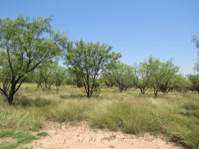 County Road 211 Brookesmith, TX 76827