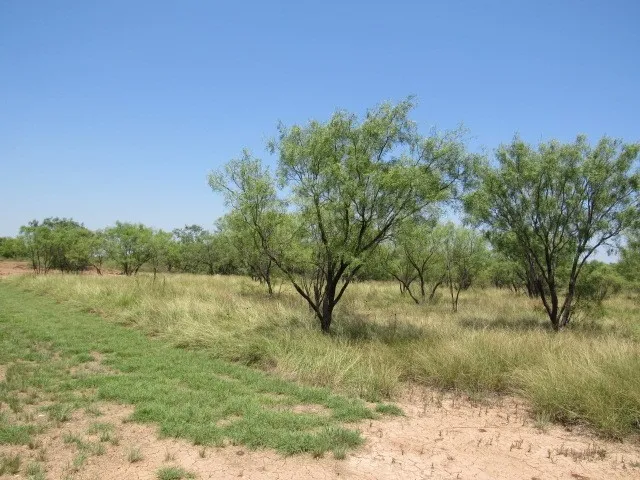 County Road 211 Brookesmith, TX 76827