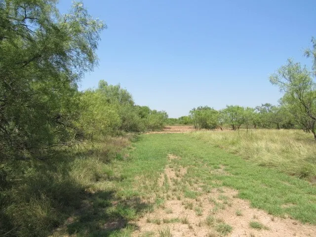County Road 211 Brookesmith, TX 76827