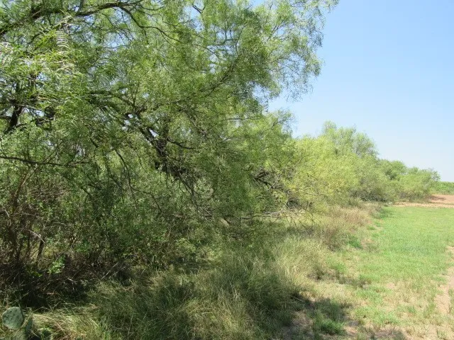 County Road 211 Brookesmith, TX 76827