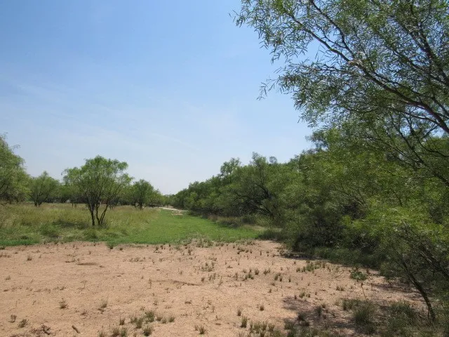 County Road 211 Brookesmith, TX 76827