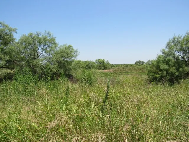 County Road 211 Brookesmith, TX 76827