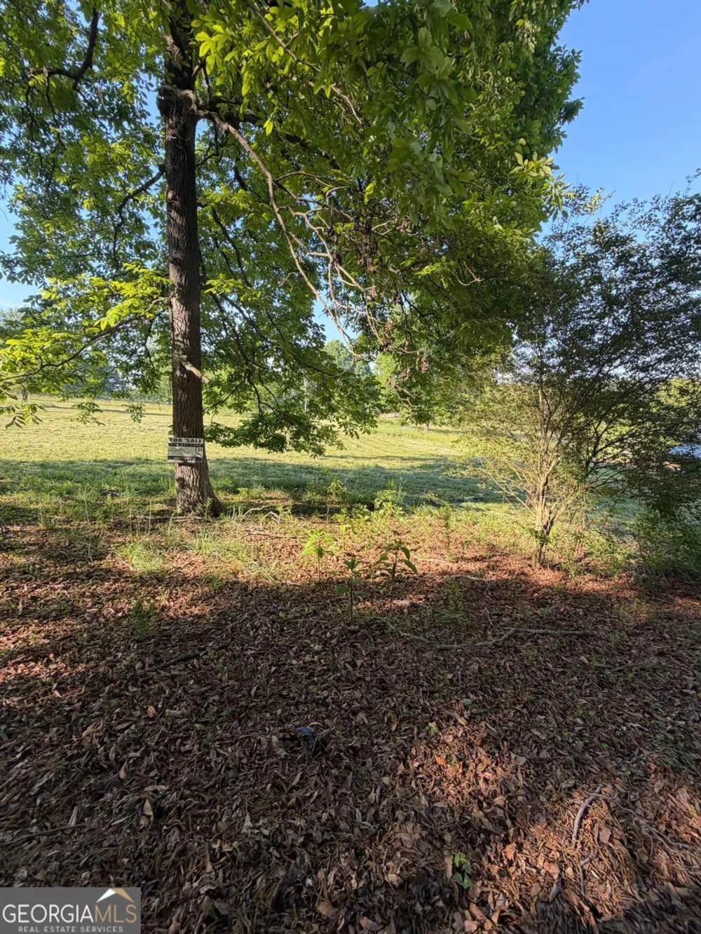 0 Mountain RD Morganton, GA 30560