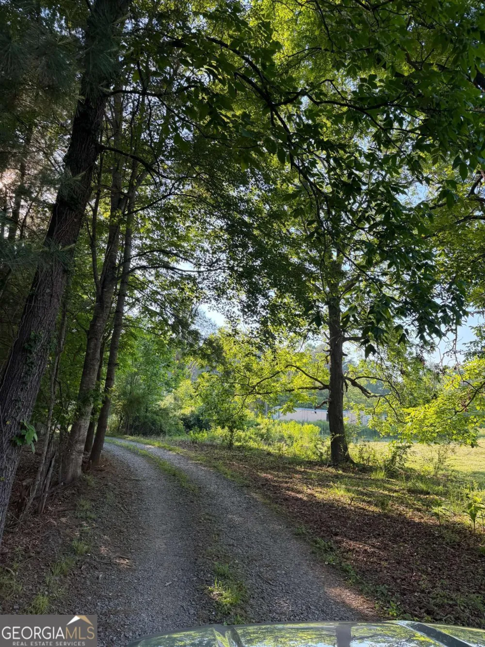 0 Mountain RD Morganton, GA 30560