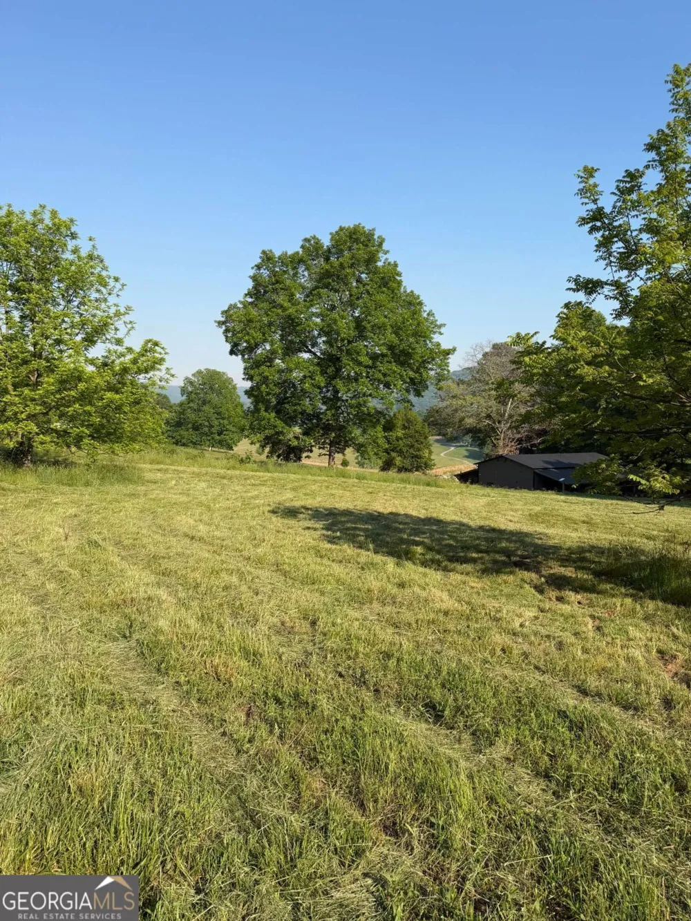 0 Mountain RD Morganton, GA 30560