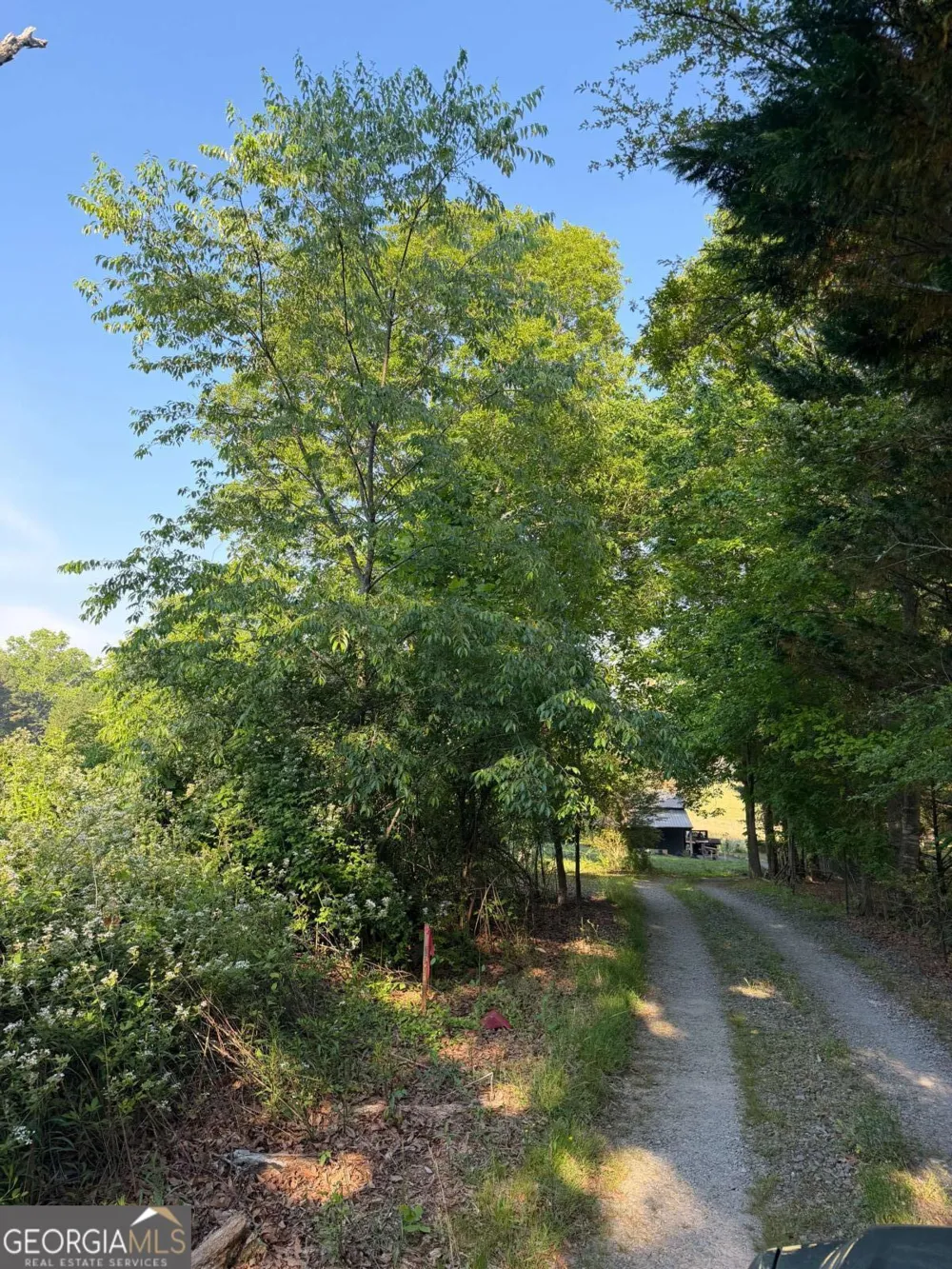 0 Mountain RD Morganton, GA 30560