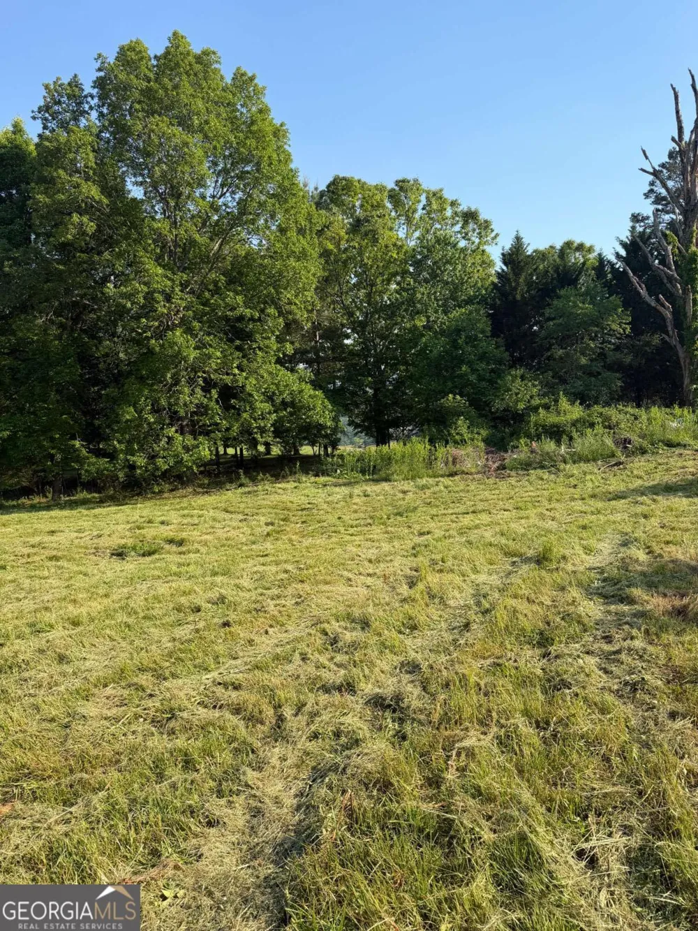 0 Mountain RD Morganton, GA 30560