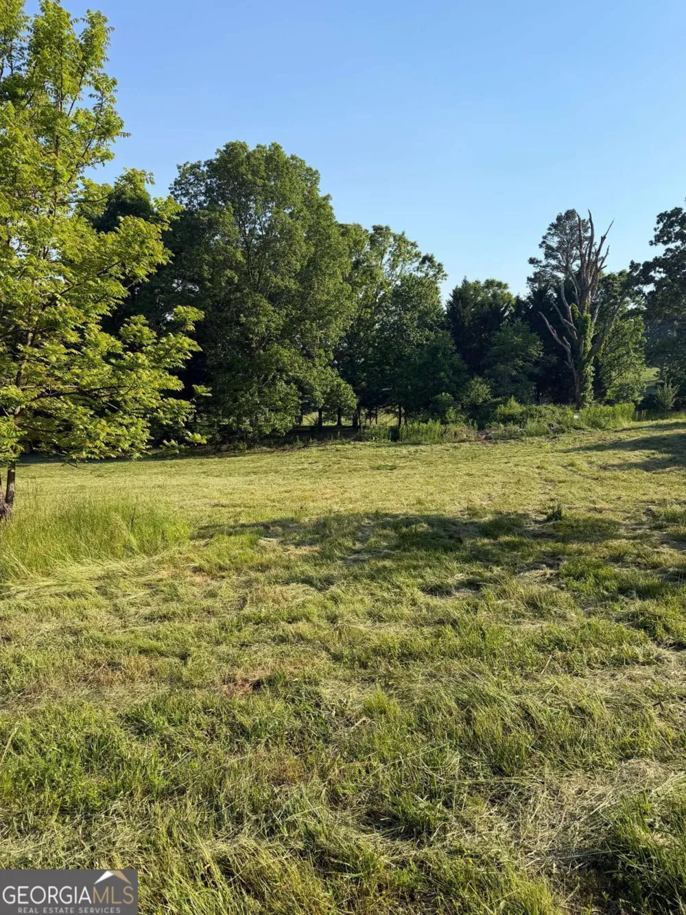 0 Mountain RD Morganton, GA 30560