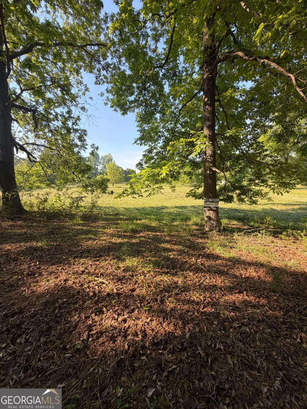 0 Mountain RD Morganton, GA 30560