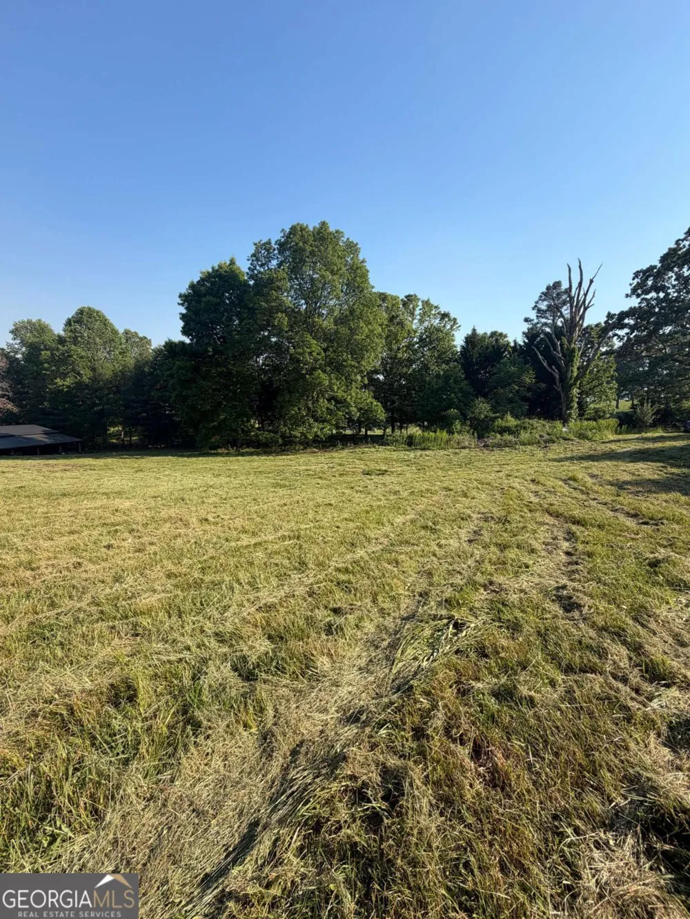 0 Mountain RD Morganton, GA 30560