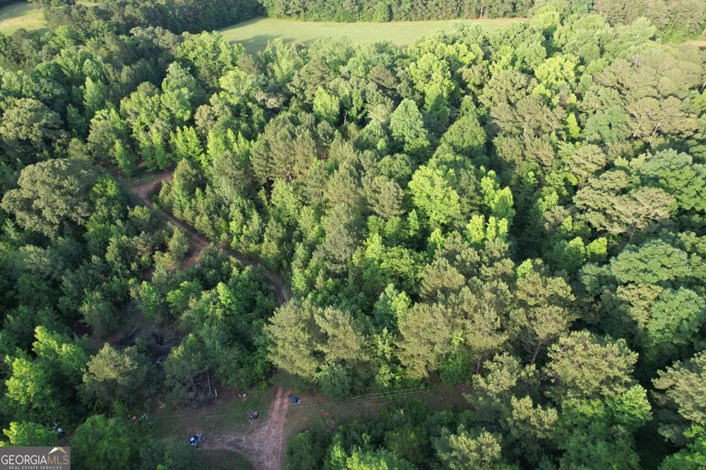 541B Ellis Dairy RD Griffin, GA 30224