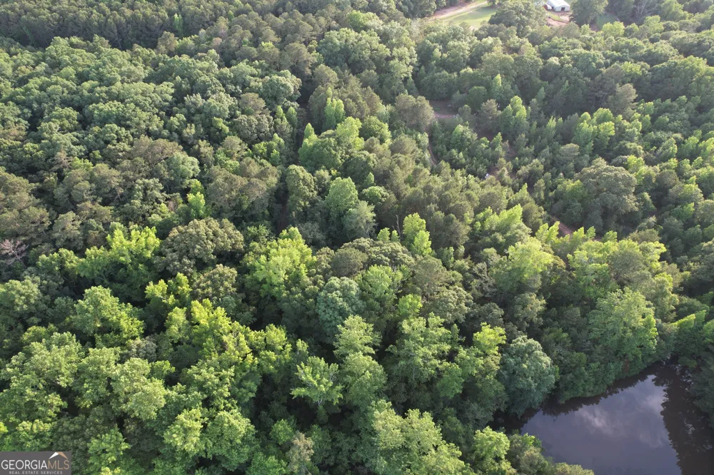 541B Ellis Dairy RD Griffin, GA 30224