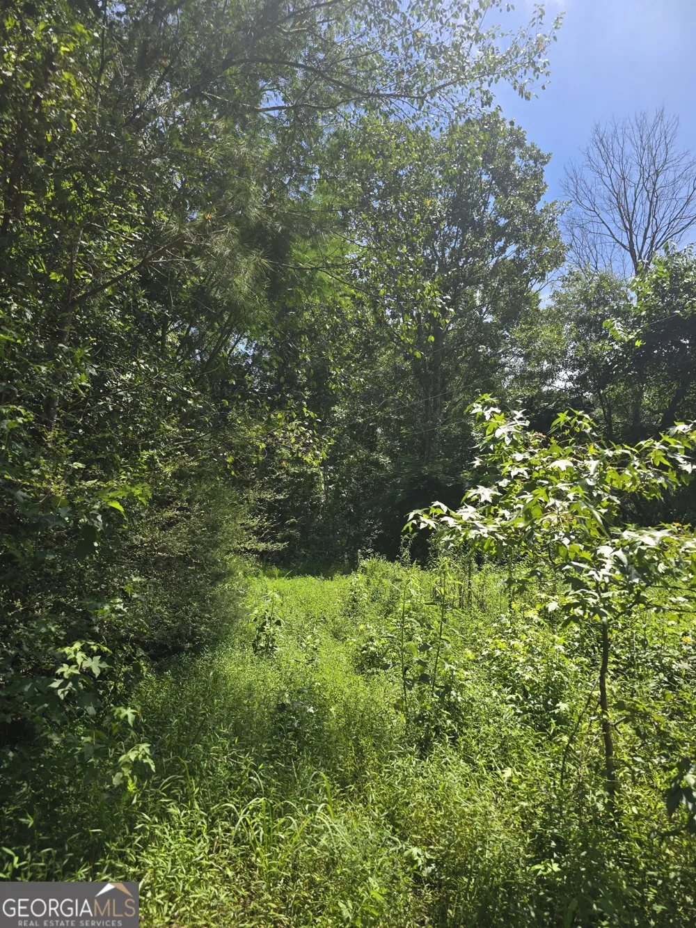 0 Potash RD Cedartown, GA 30125