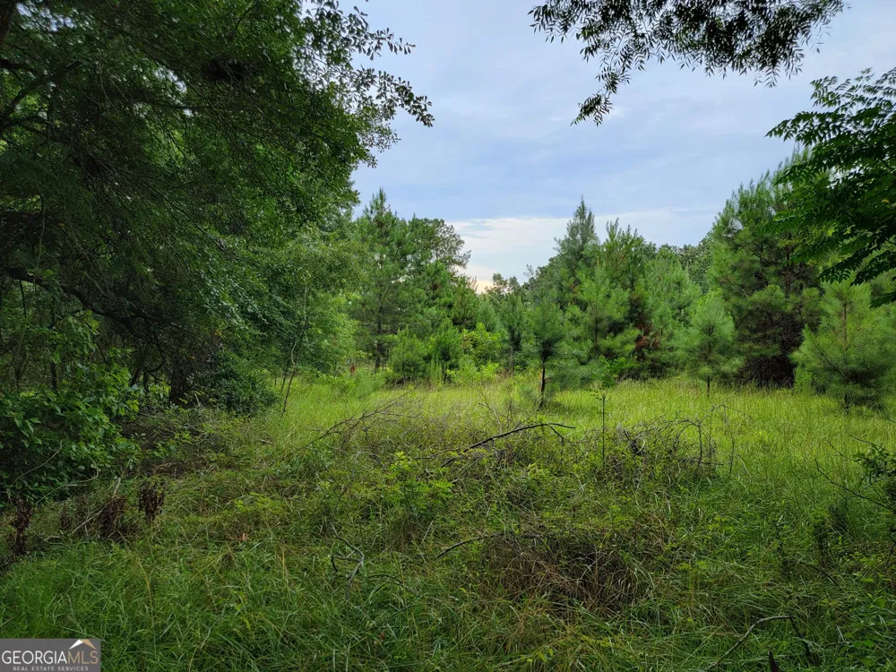 367 Mt Pleasant Church RD Gordon, GA 31031