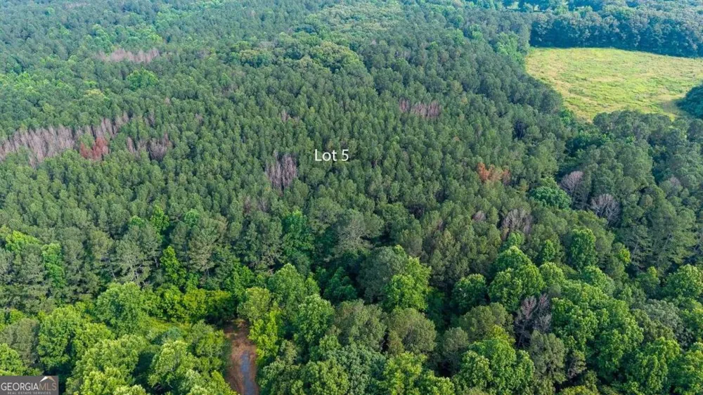 LOT 5 Highway 136 Connector Talking Rock, GA 30175