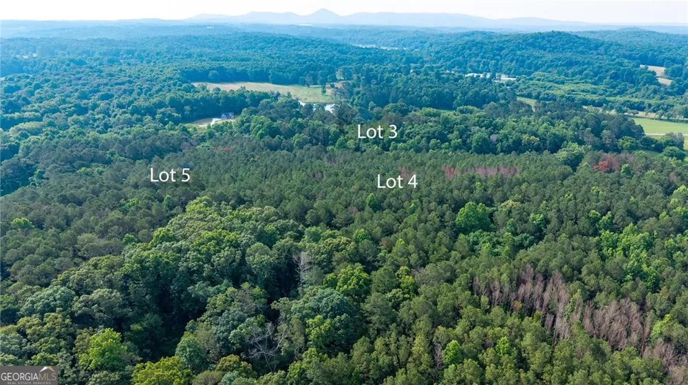 LOT 5 Highway 136 Connector Talking Rock, GA 30175