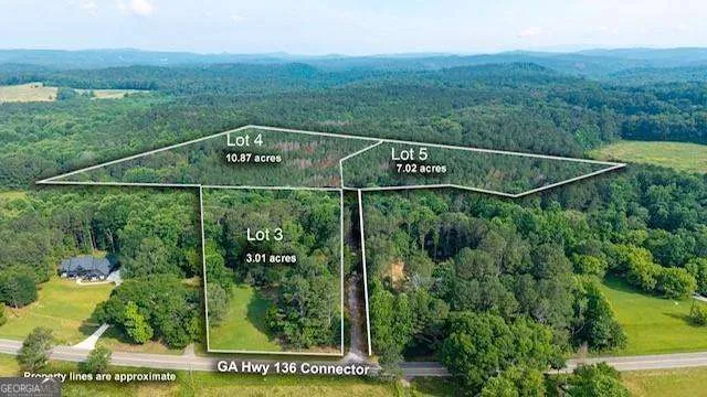 LOT 4 136 Highway 136 Connector Talking Rock, GA 30175