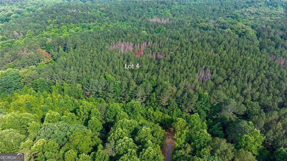LOT 4 136 Highway 136 Connector Talking Rock, GA 30175
