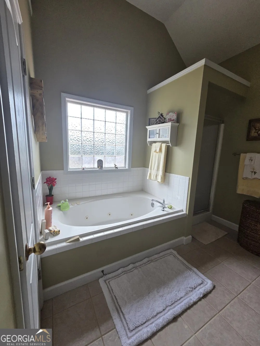 250 Rock Mill TRL Senoia, GA 30276