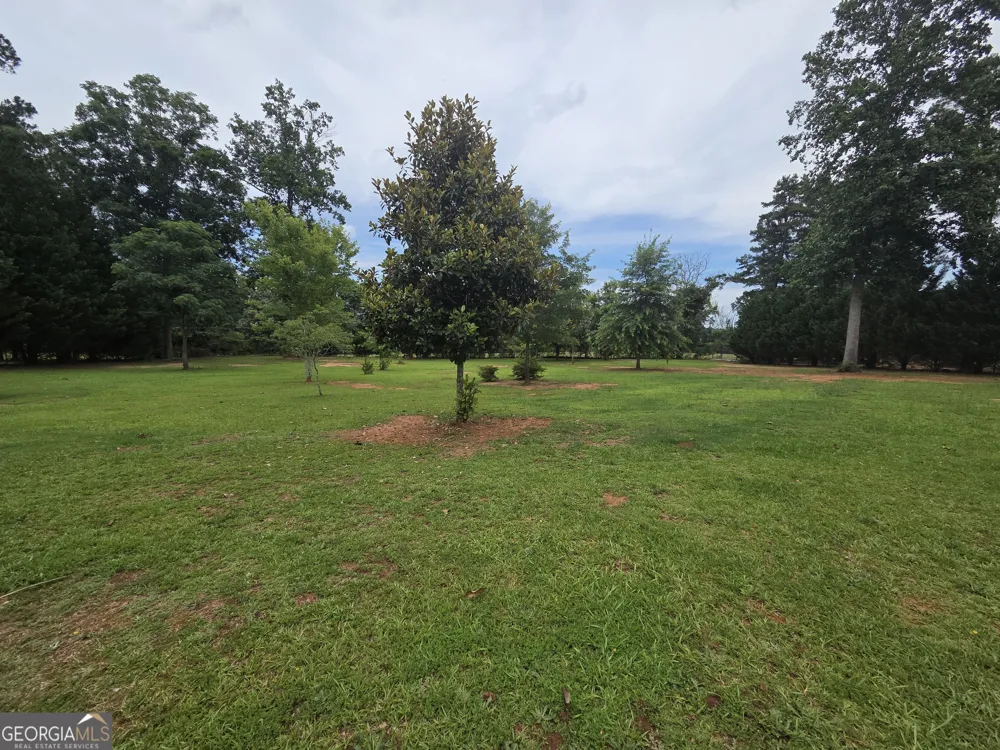 250 Rock Mill TRL Senoia, GA 30276