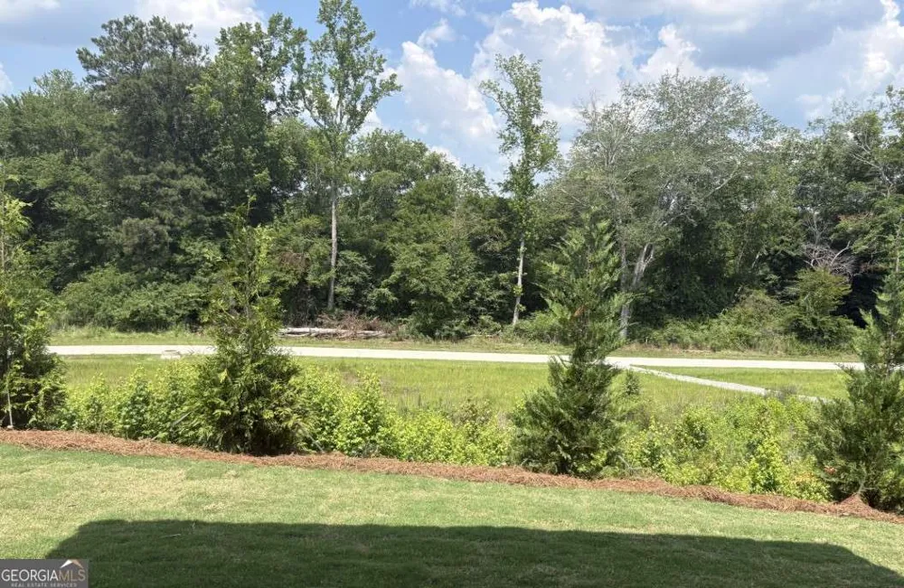 1938 Enota DR Bethlehem, GA 30620