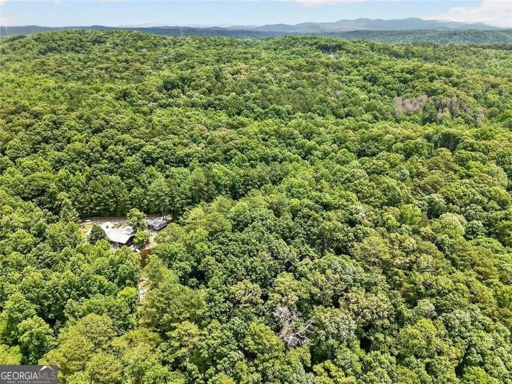 105 Whitestone Road North Talking Rock, GA 30175