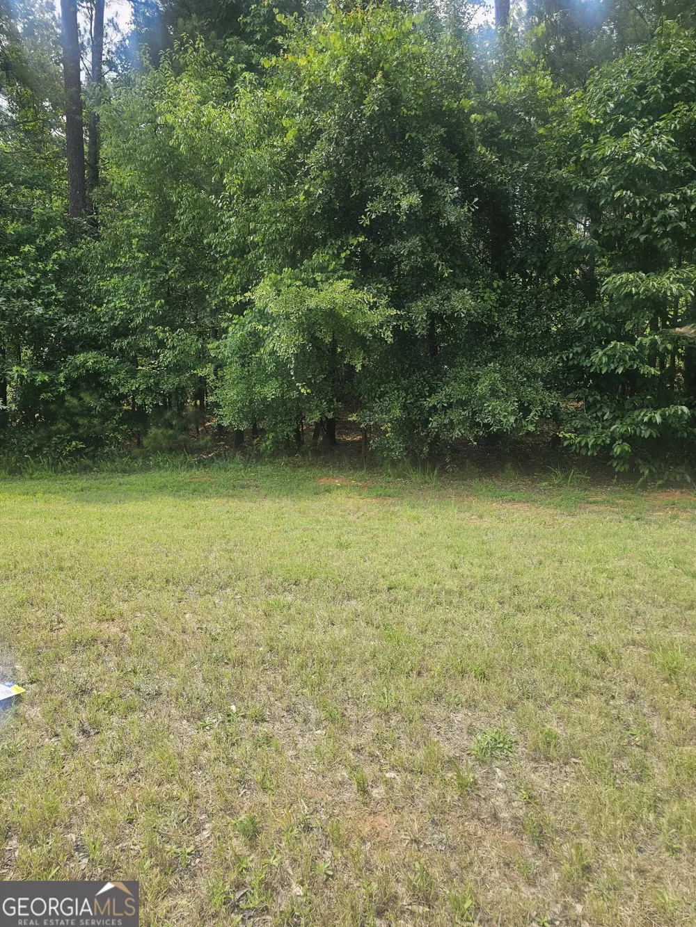 2755 PEEKSVILLE Locust Grove, GA 30248
