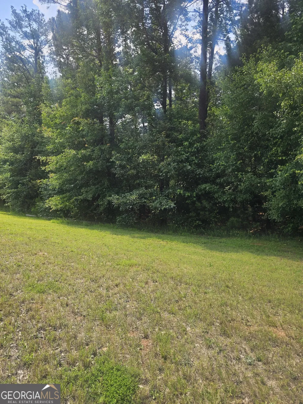 2755 PEEKSVILLE Locust Grove, GA 30248