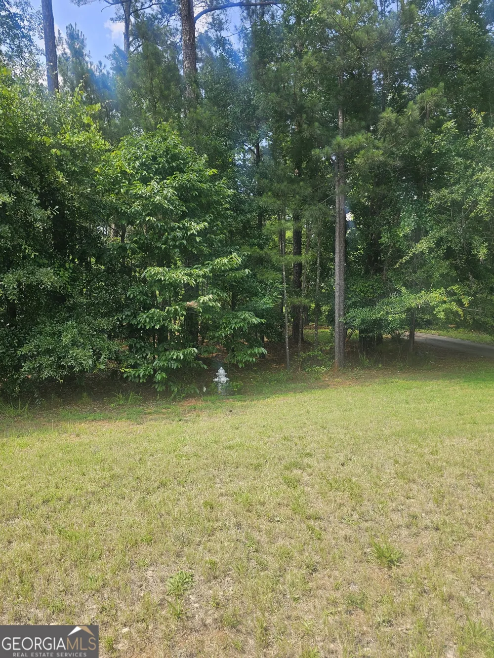 2755 PEEKSVILLE Locust Grove, GA 30248