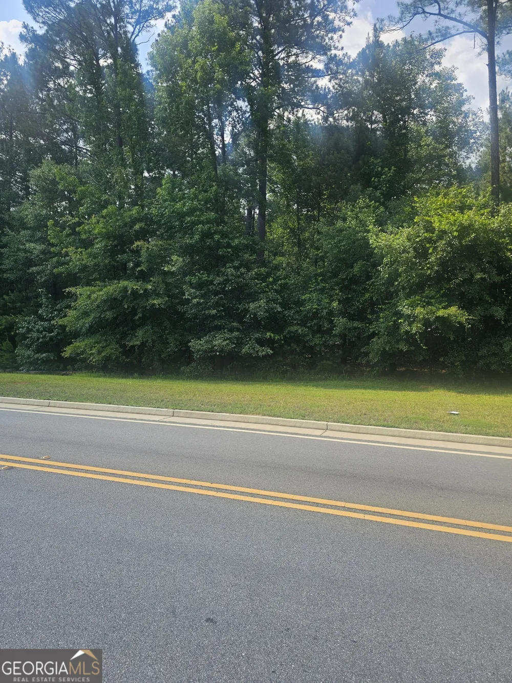 2755 PEEKSVILLE Locust Grove, GA 30248