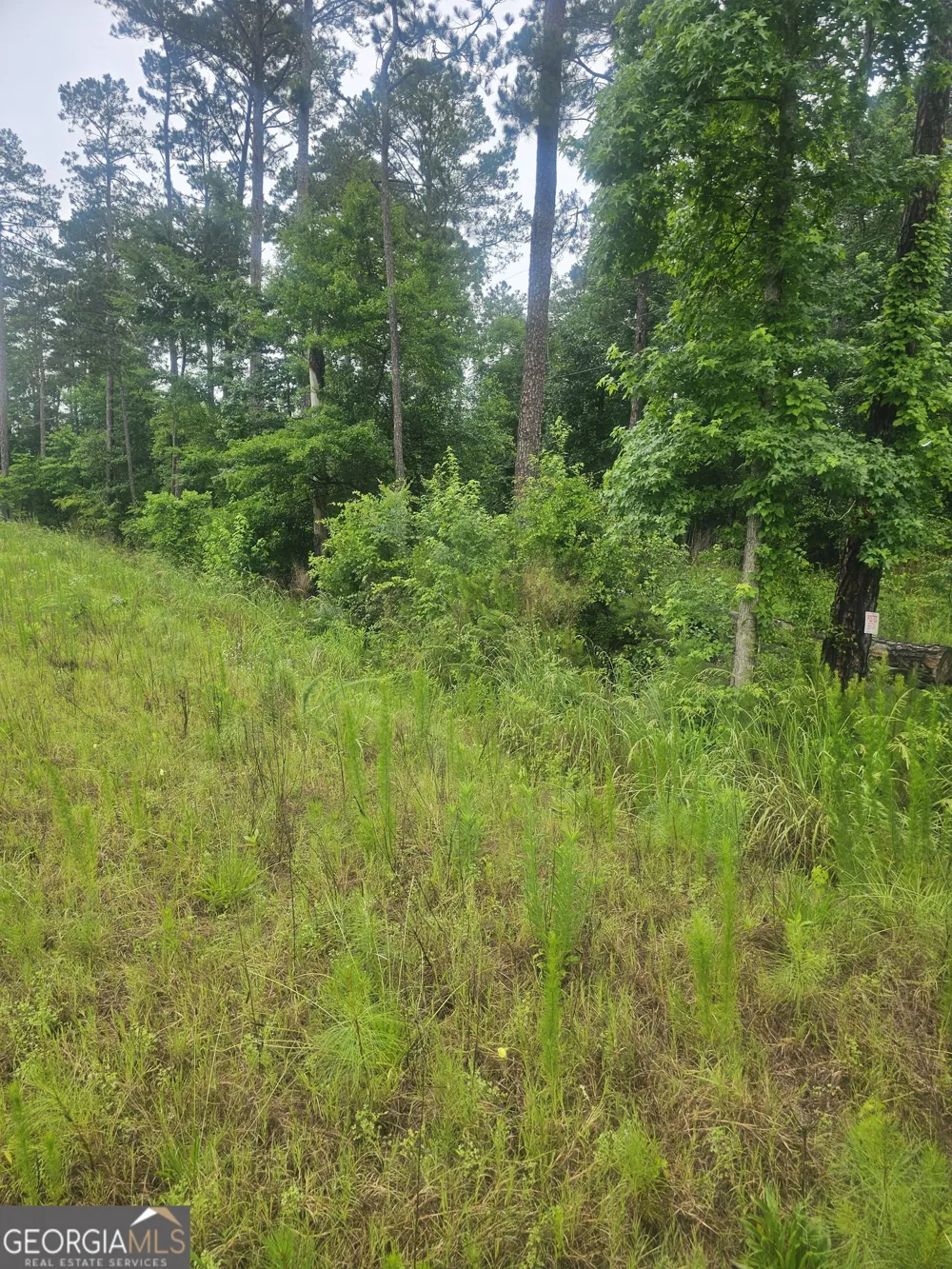 2755 PEEKSVILLE Locust Grove, GA 30248