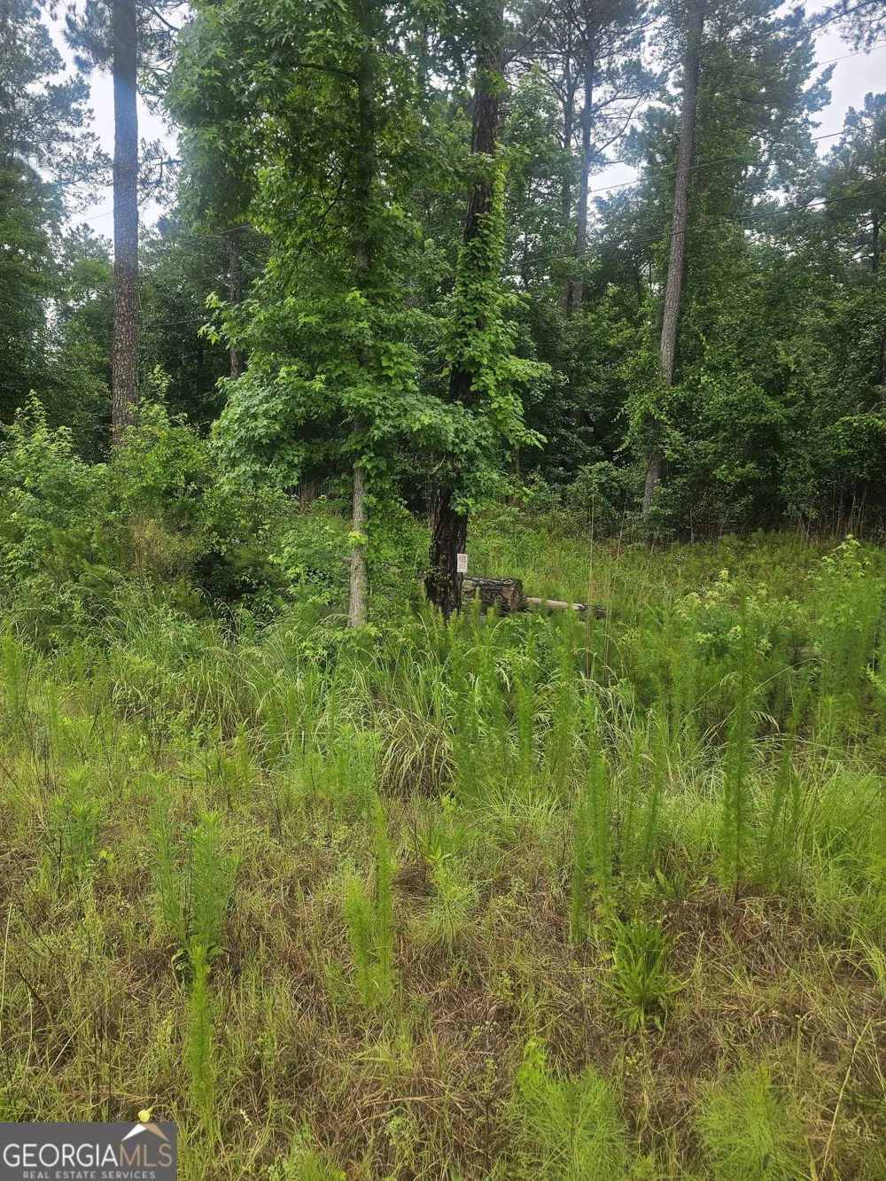 2755 PEEKSVILLE Locust Grove, GA 30248