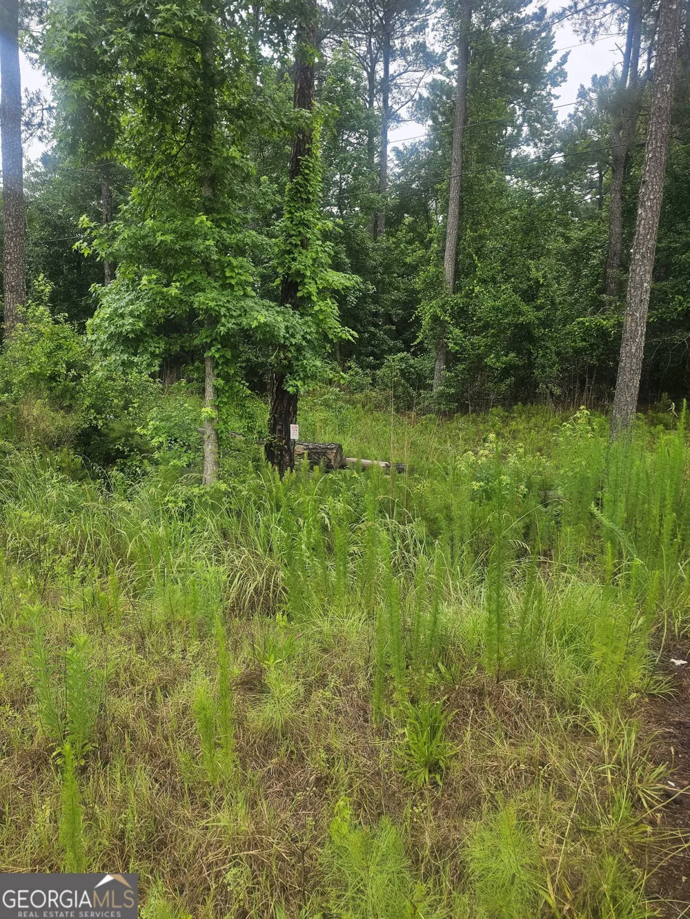 2755 PEEKSVILLE Locust Grove, GA 30248