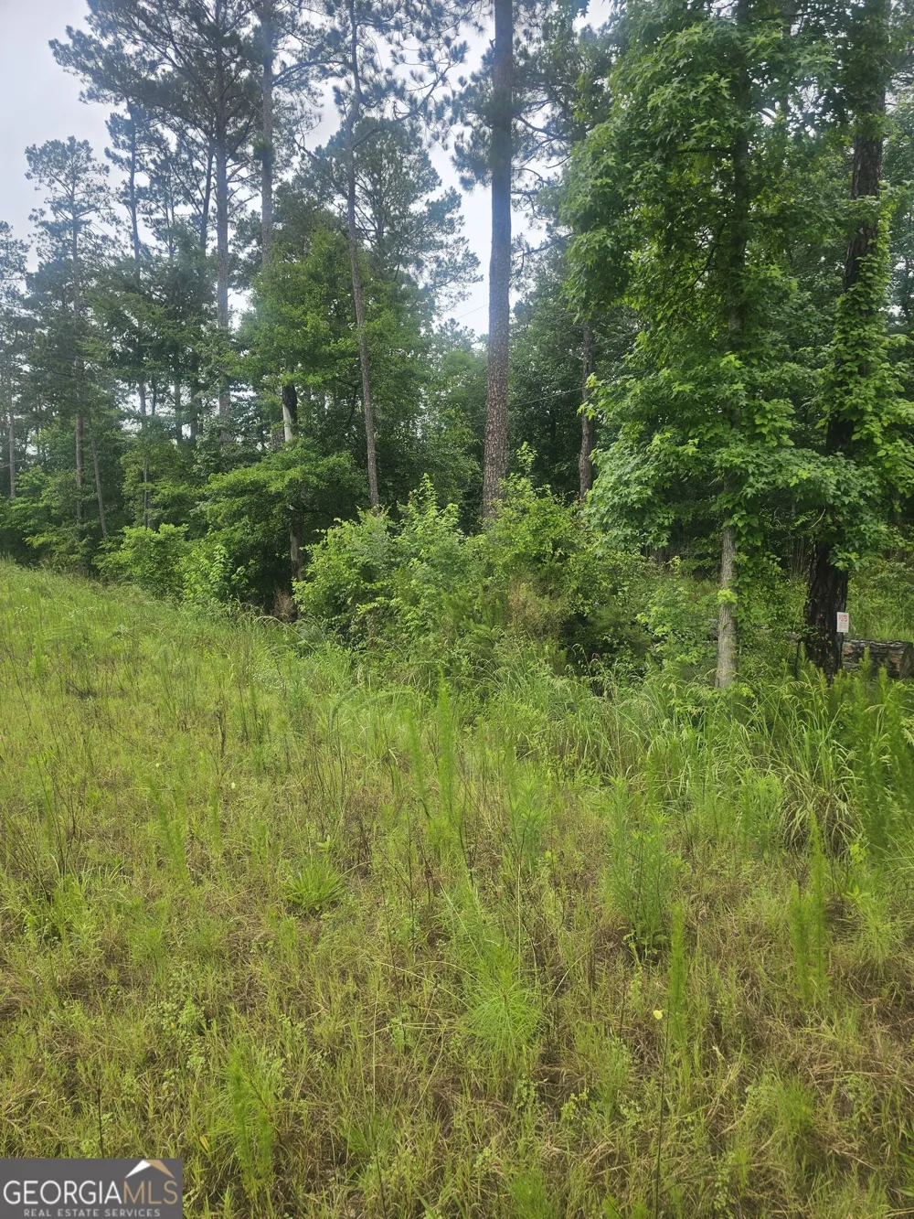 2755 PEEKSVILLE Locust Grove, GA 30248