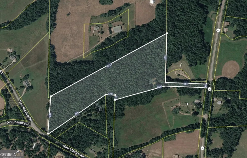 4104 W 5 HWY Bowdon, GA 30108