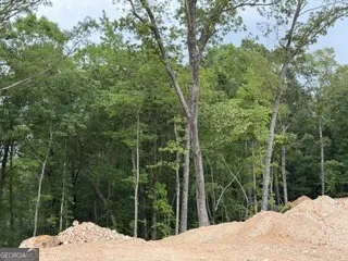 2180 Dunn RD Molena, GA 30258